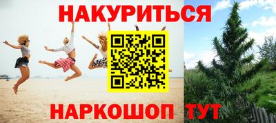каннабис Донской